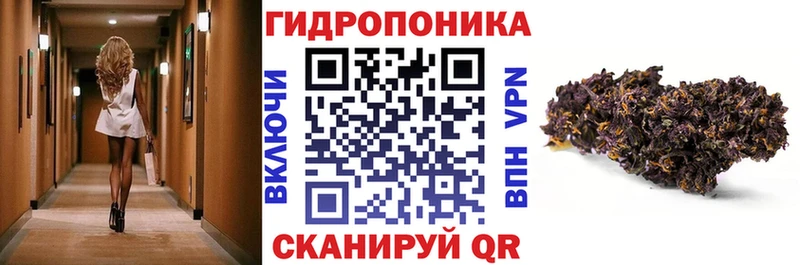 Бошки Шишки VHQ  мега ONION  Сосновый Бор 